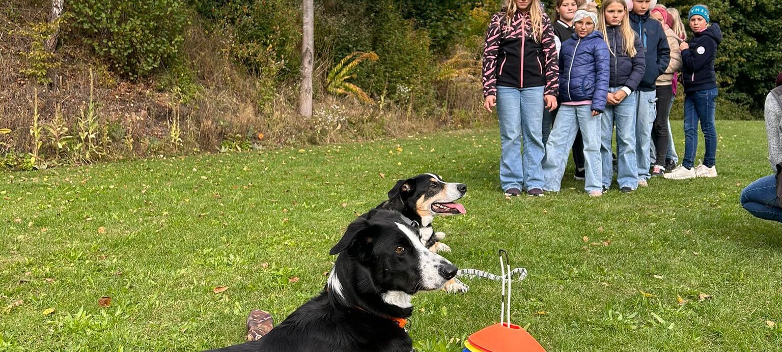 Hunde-Workshop in den ersten Klassen